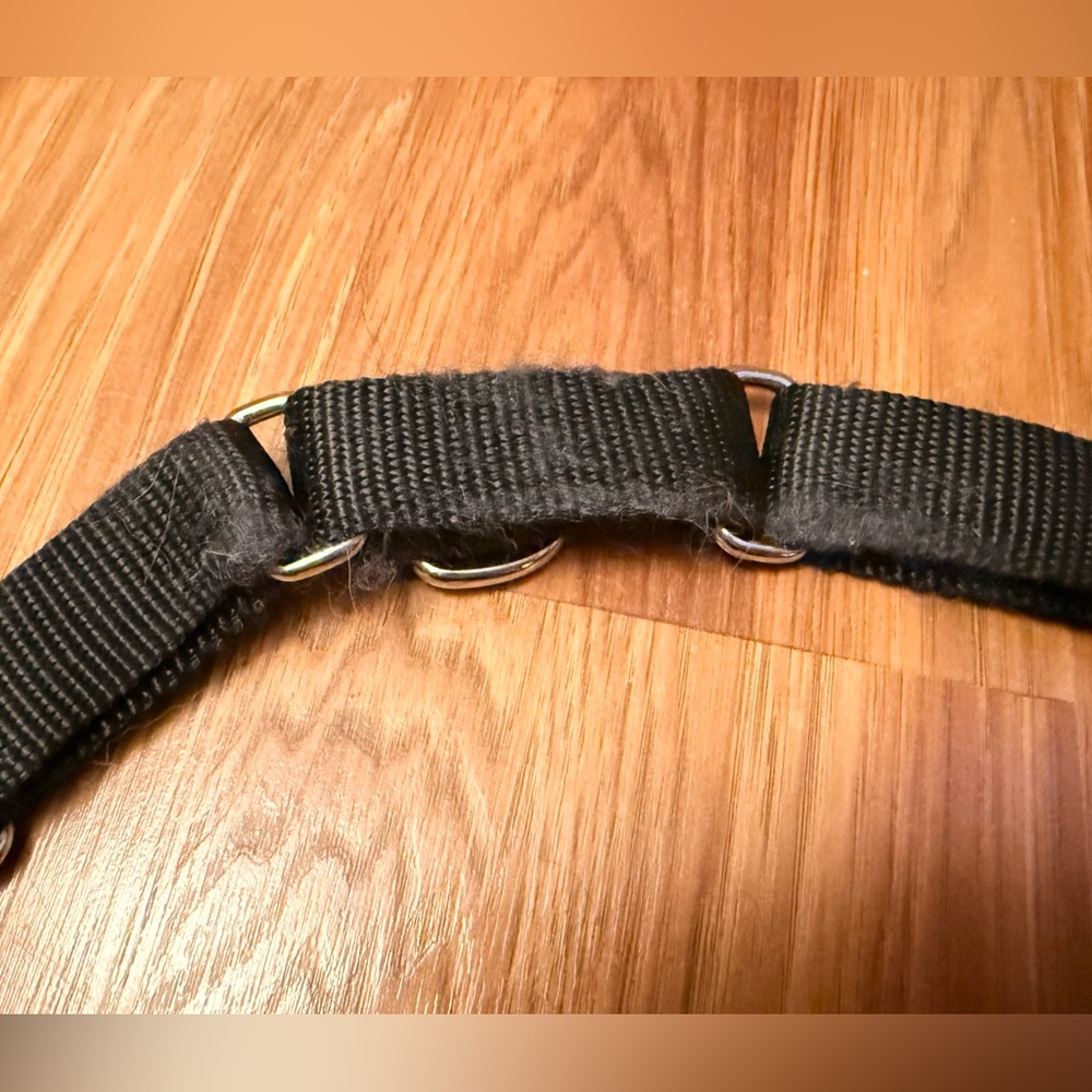 Dog Harness - Picture 4 of 8